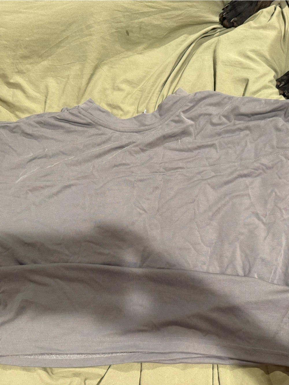 Light Gray Women’s Shirt - Stretch Design